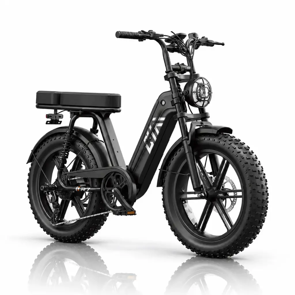 Bicicleta Eléctrica Fat Tire R7 750W 